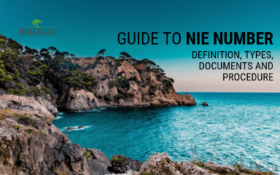 NIE NUMBER in Spain: Definition, Types, Procedure and Documents