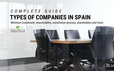 Types of Companies and Business Structures in Spain