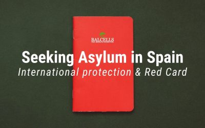 Seeking Asylum in Spain (International Protection)